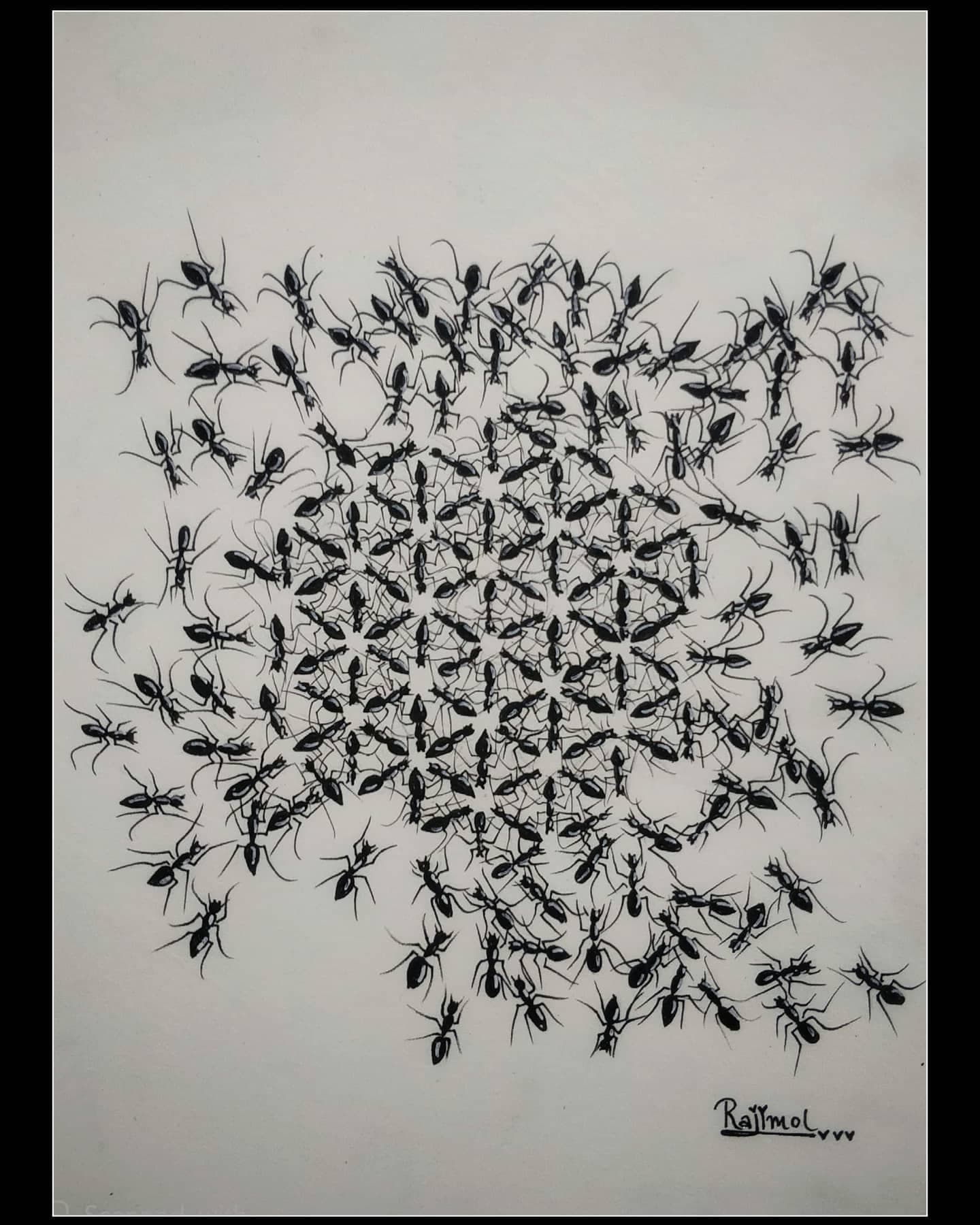 Colony Architecture: The Rhythmic Swarm