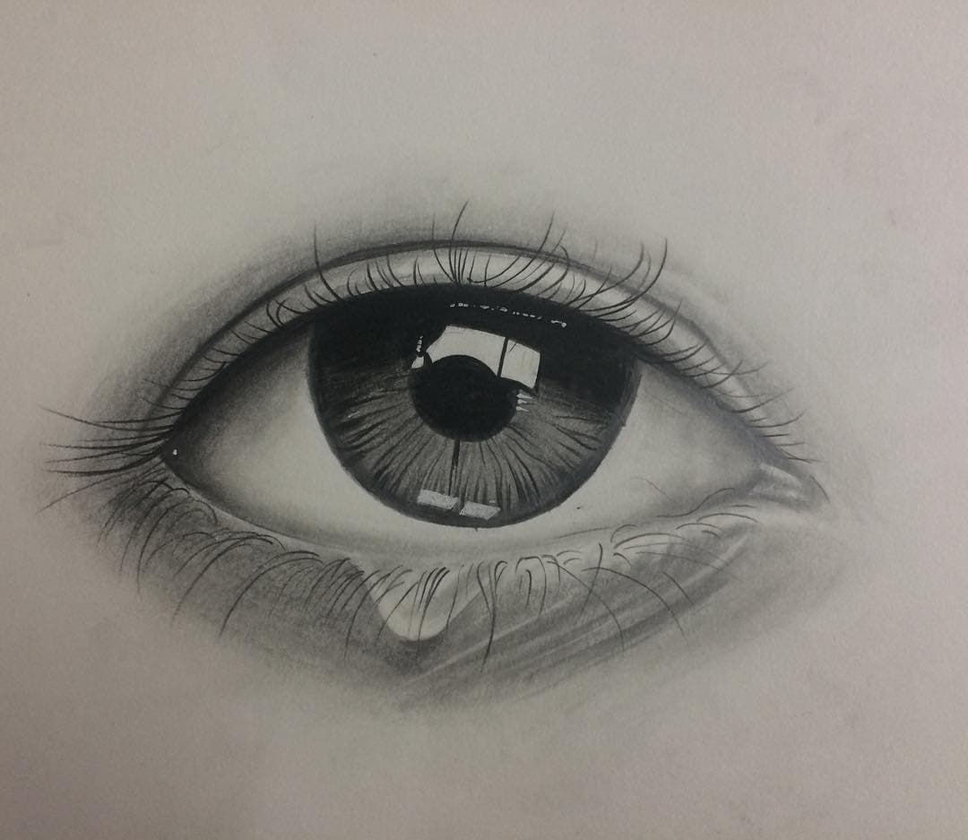 Cerulean Insight: The Gaze